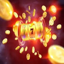 23vip44